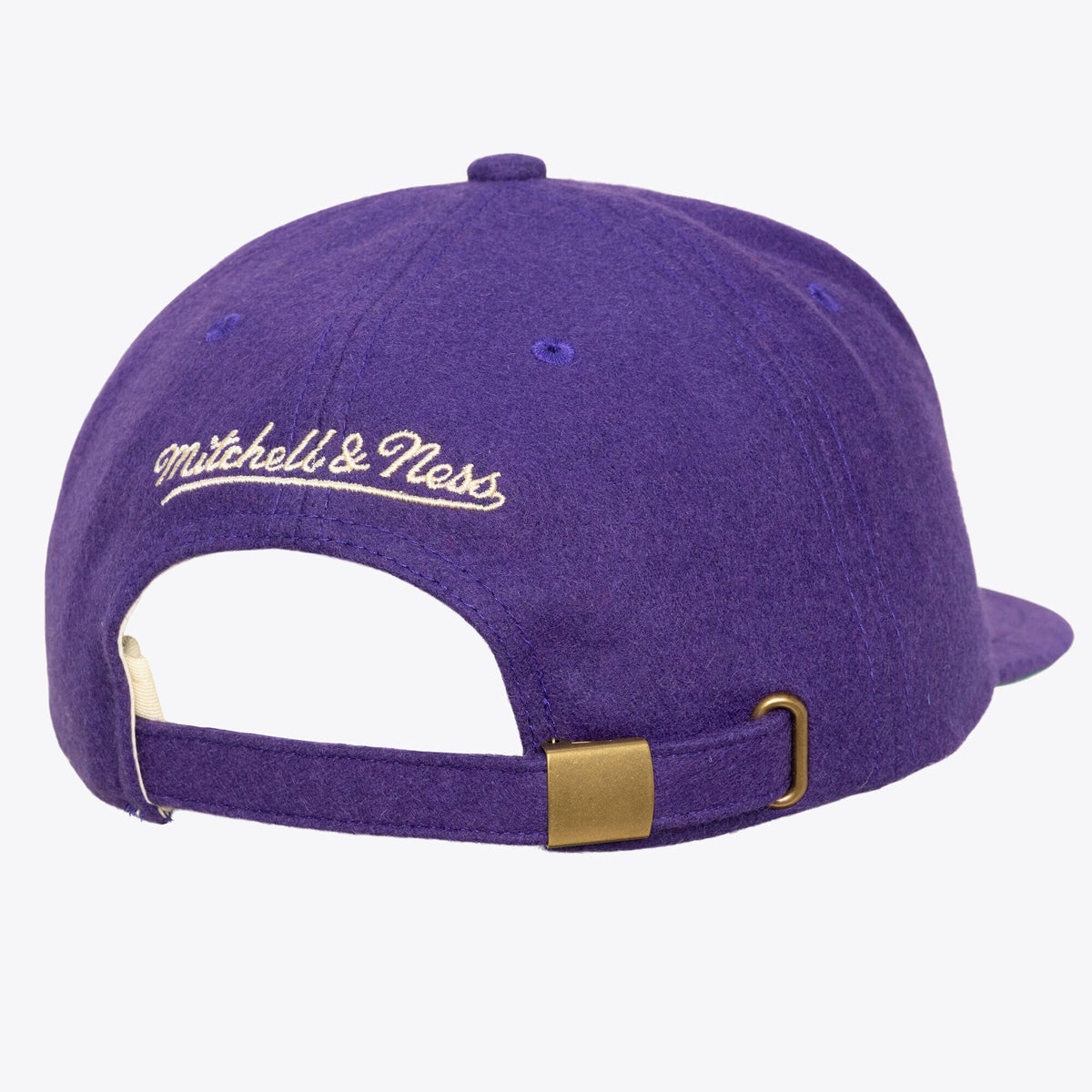 Men's Charlotte Hornets Mitchell & Ness Purple Hardwood Classics Retro Roots Vintage Adjustable Hat

