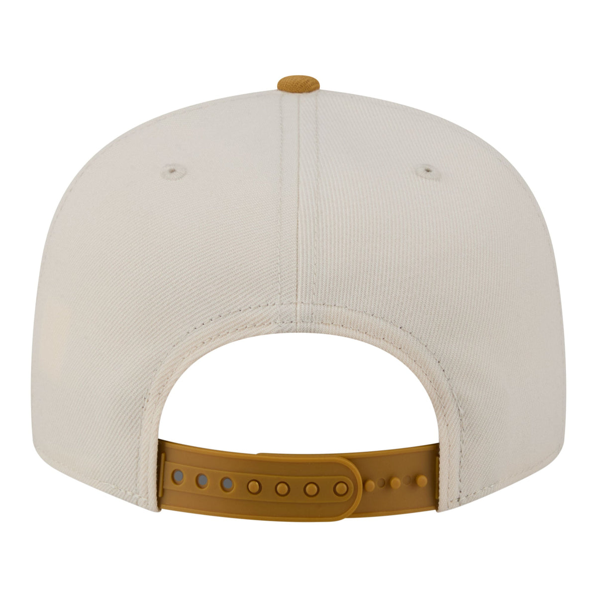 Men's Charlotte Hornets  New Era Cream/Tan Two-Tone Color Pack 9FIFTY Snapback Hat